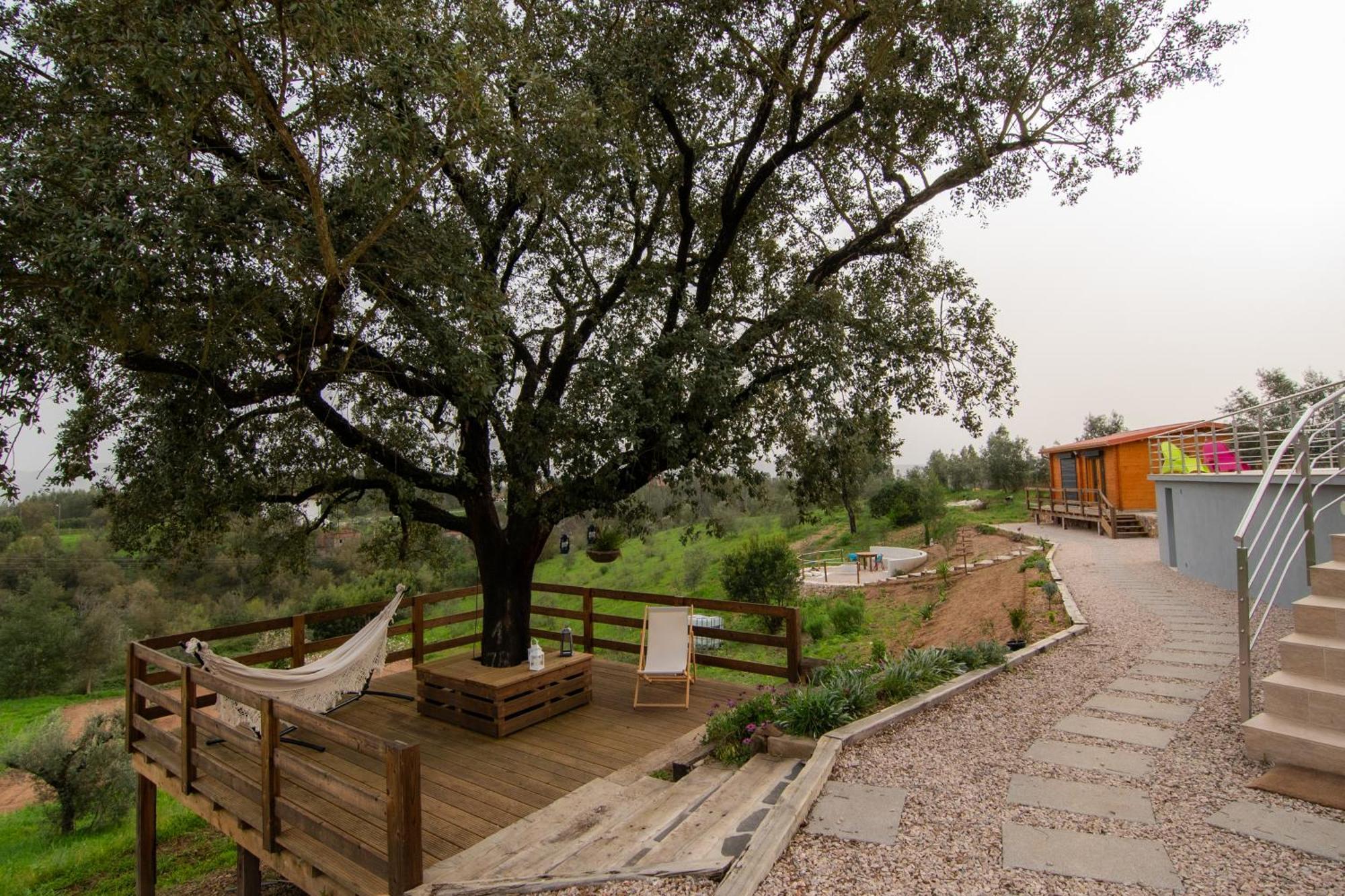 Quinta Do Esteval Penacova Luaran gambar